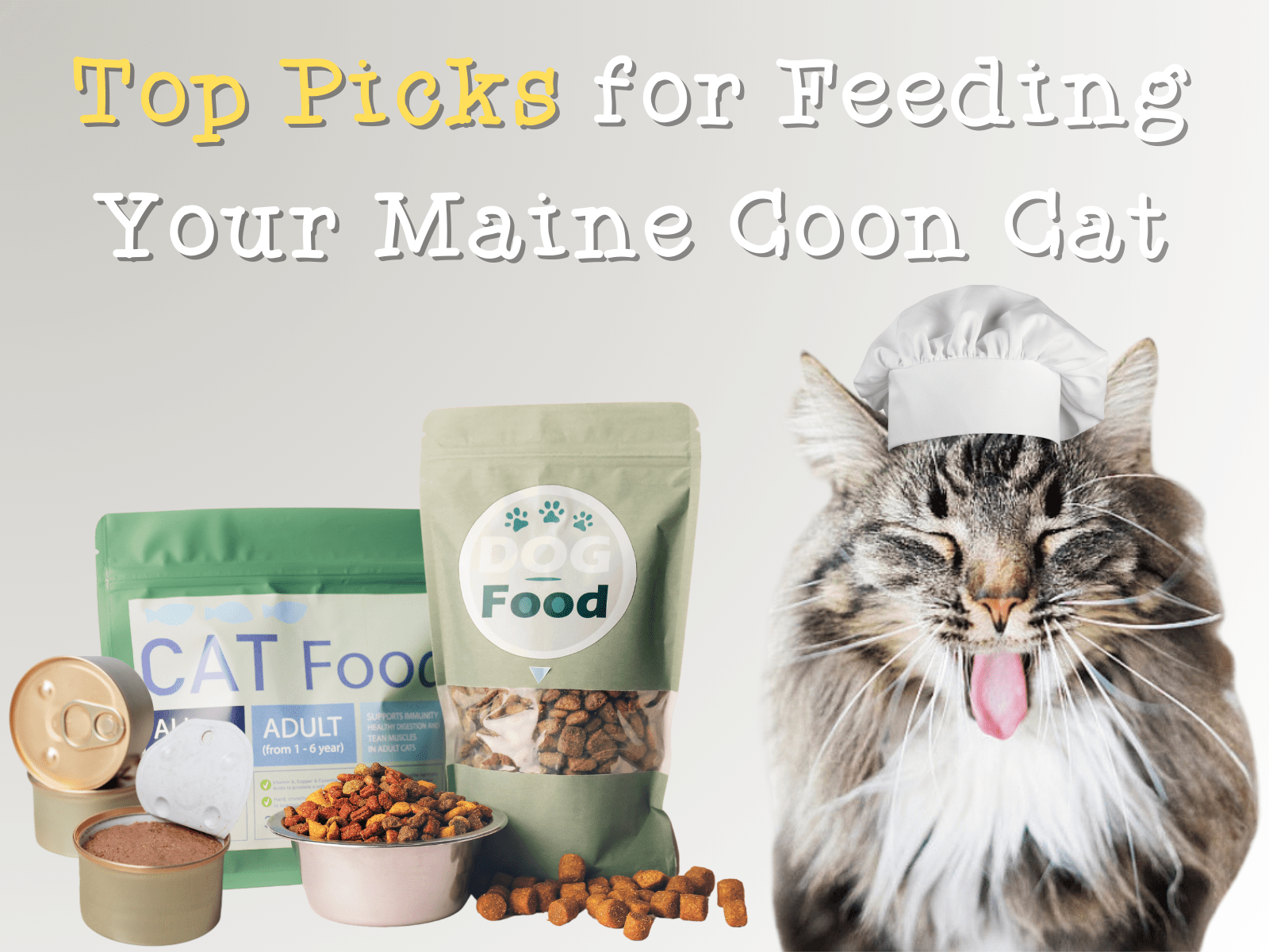 Top 10 Cat Food Picks for Maine Coon Cats in 2024 - Love Maine Coon